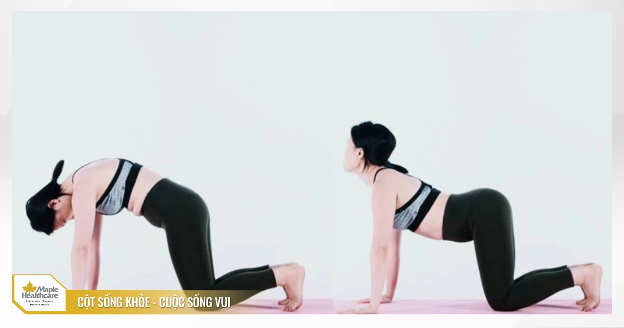 Tư thế con mèo con bò