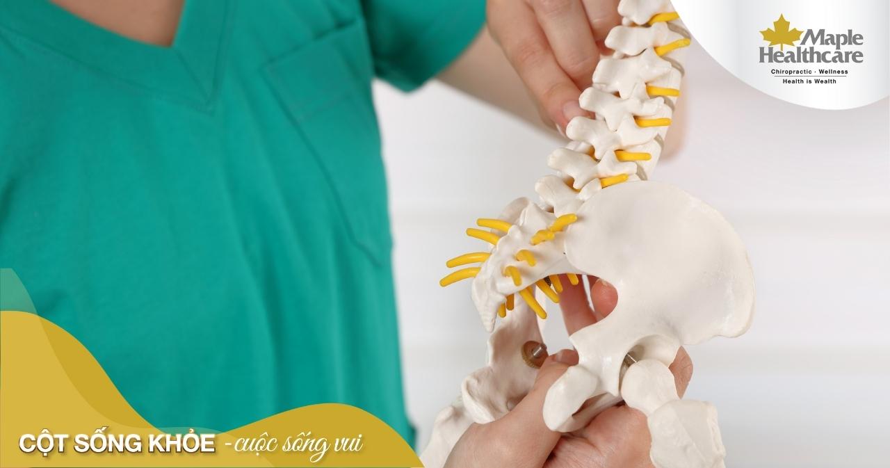 Đau xương cụt là bệnh gì? Vì sao không nên chủ quan khi bị đau xương cụt?