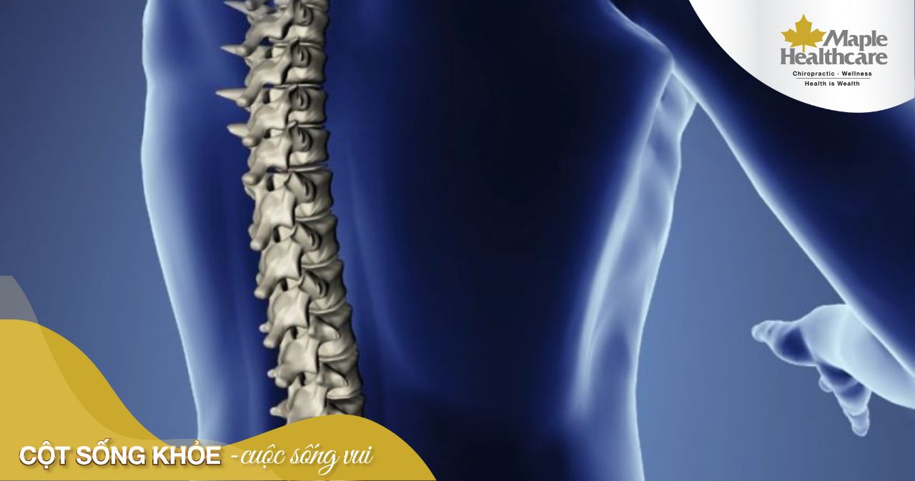 Chèn ép tủy là gì và có nguy hiểm không?