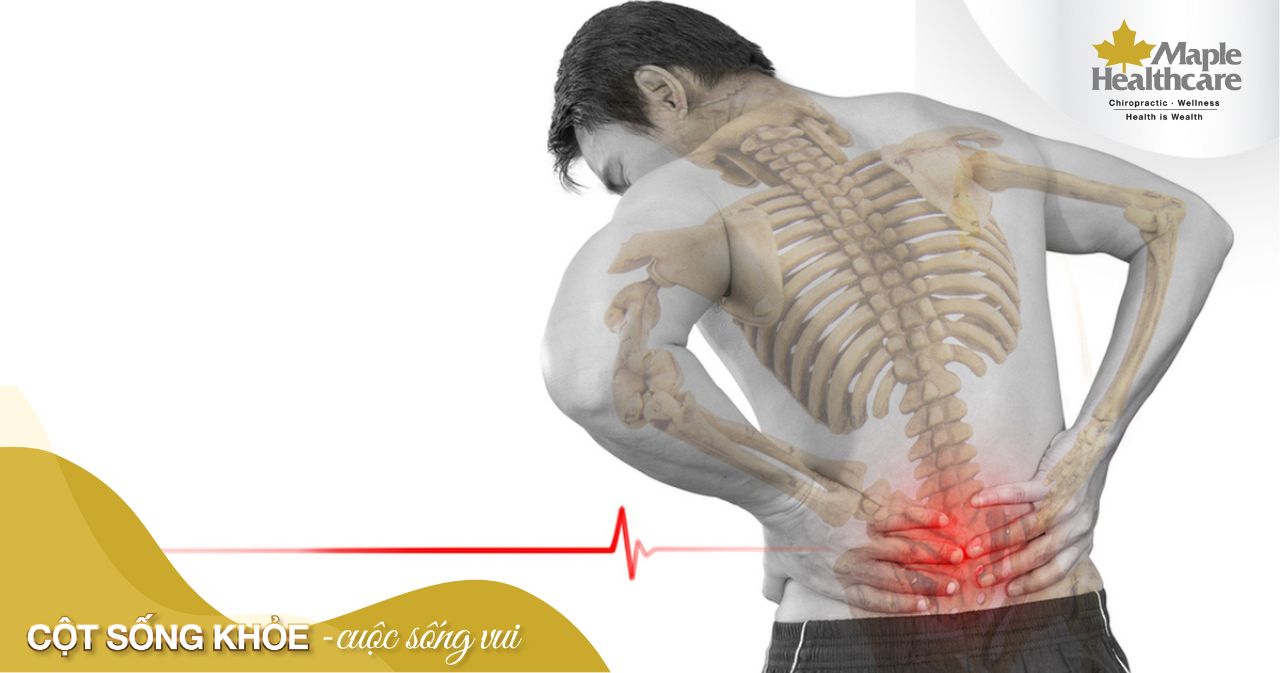 Hội chứng đuôi ngựa và những thông tin quan trọng cơ bản