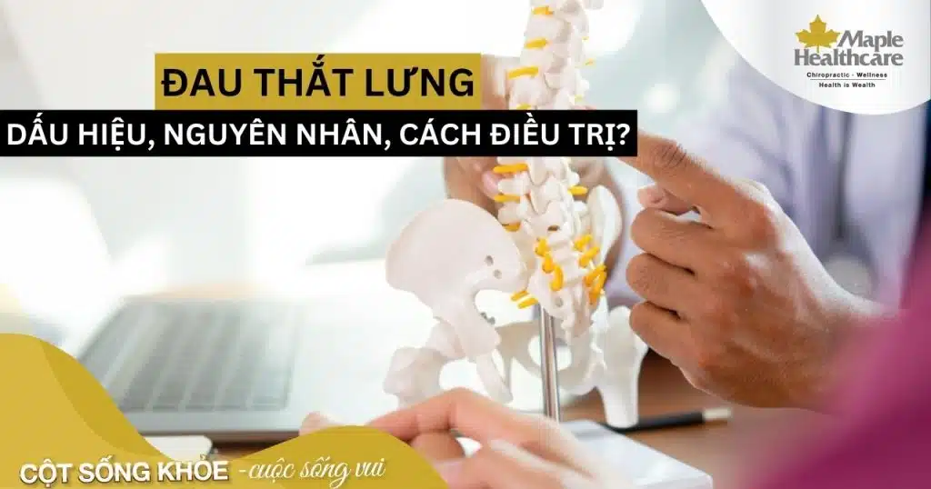 Dấu hiệu của đau thắt lưng, nguyên nhân và cách điều trị hiệu quả