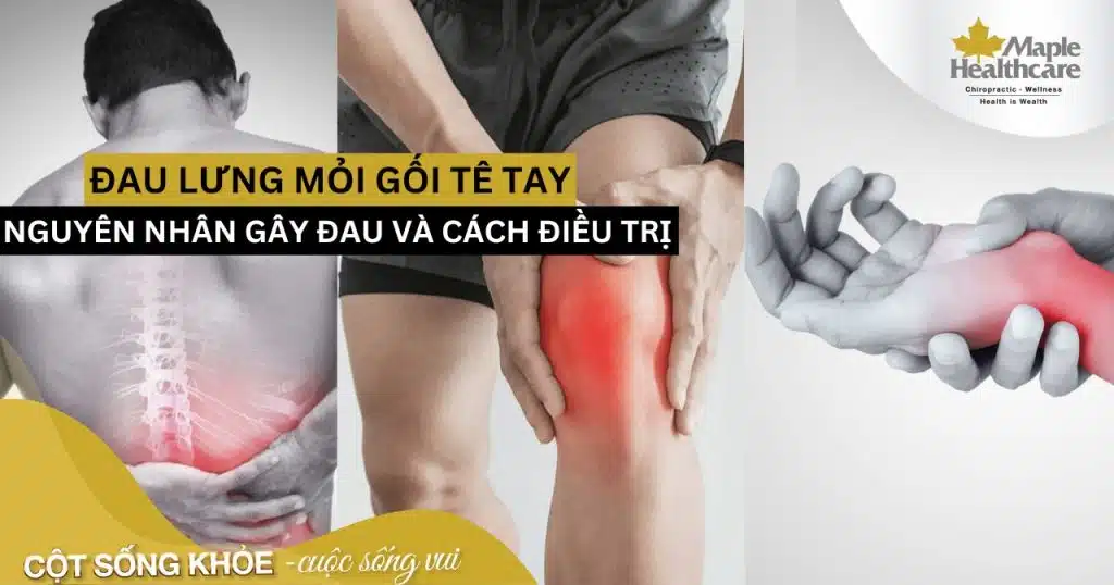 Nguyên nhân đau lưng mỏi gối tê tay và cách điều trị hiệu quả