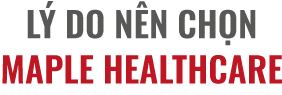 title-ly-do-nen-lua-chon-maple-mobile title lý do nên lựa chọn Maple mobile