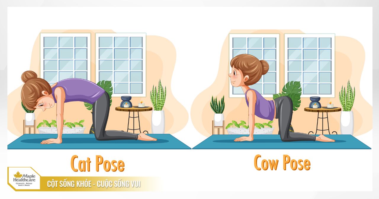 Tư thế Cat-Cow để khởi động